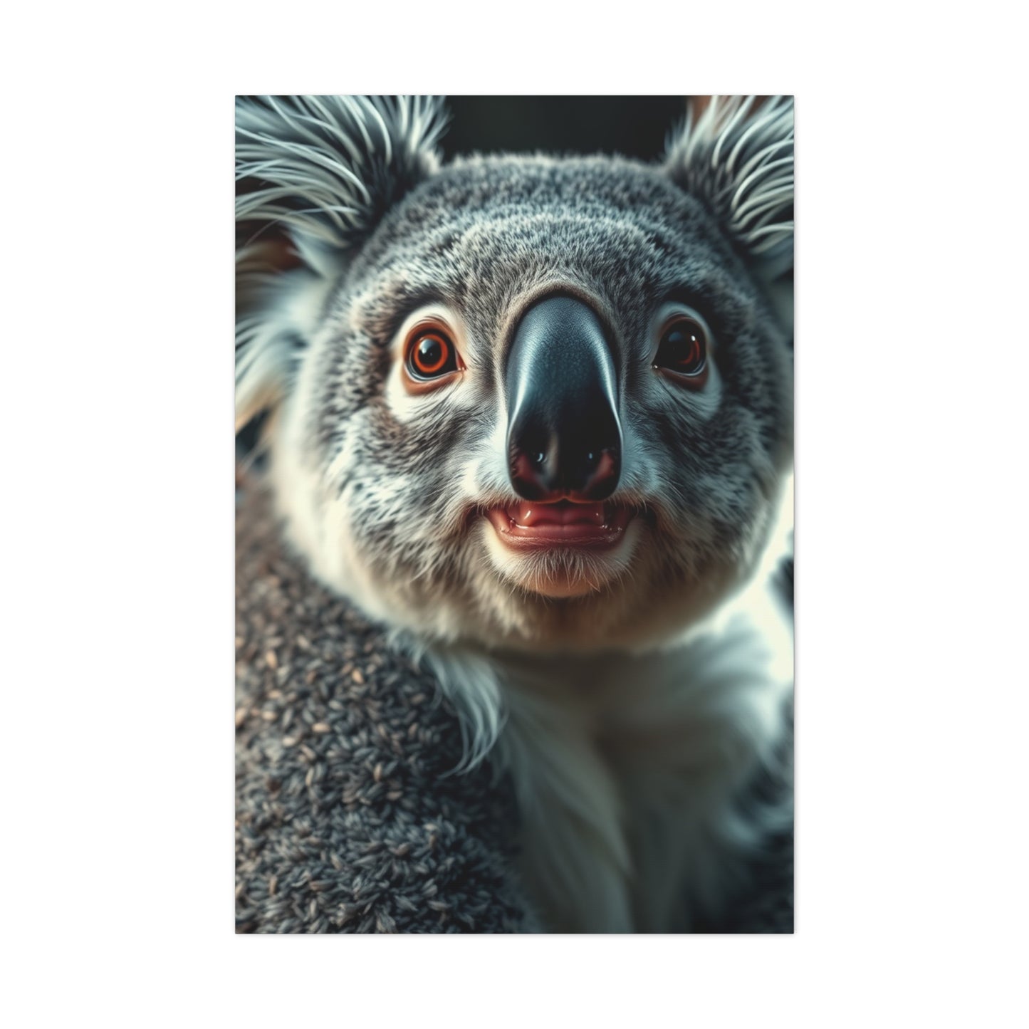Collection Koala Art Art Wall Art & Canvas Print