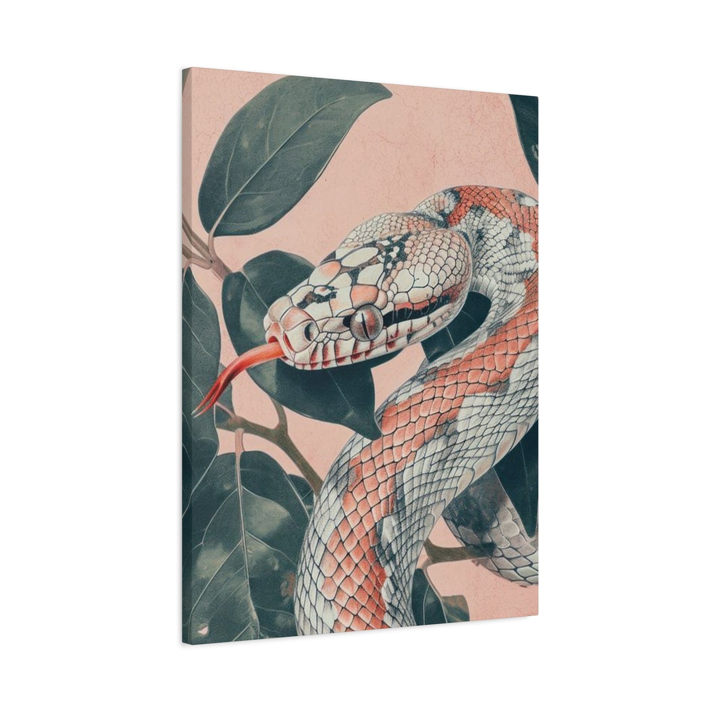 White And Pink Snake Wall Art & Canvas Prints