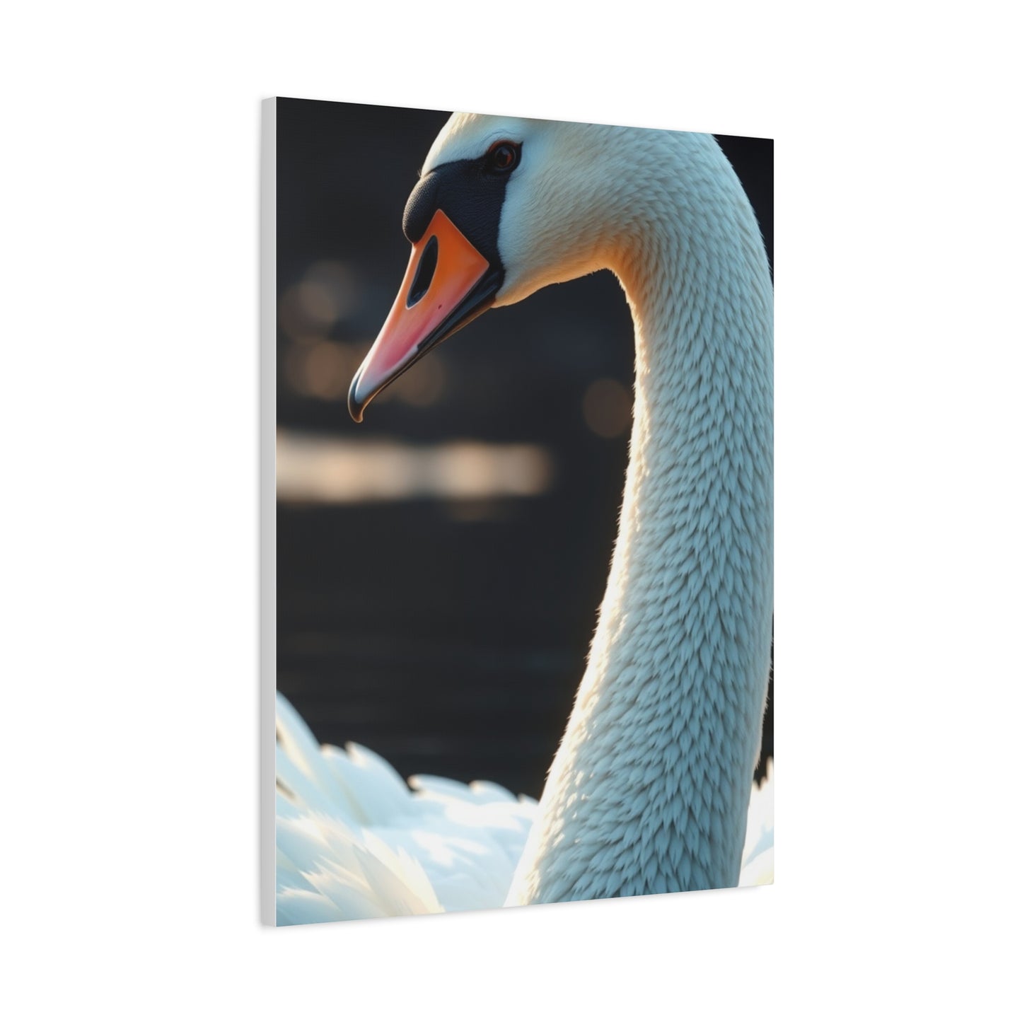 Swan Art Luxury Canvas Wall Art & Canvas Print