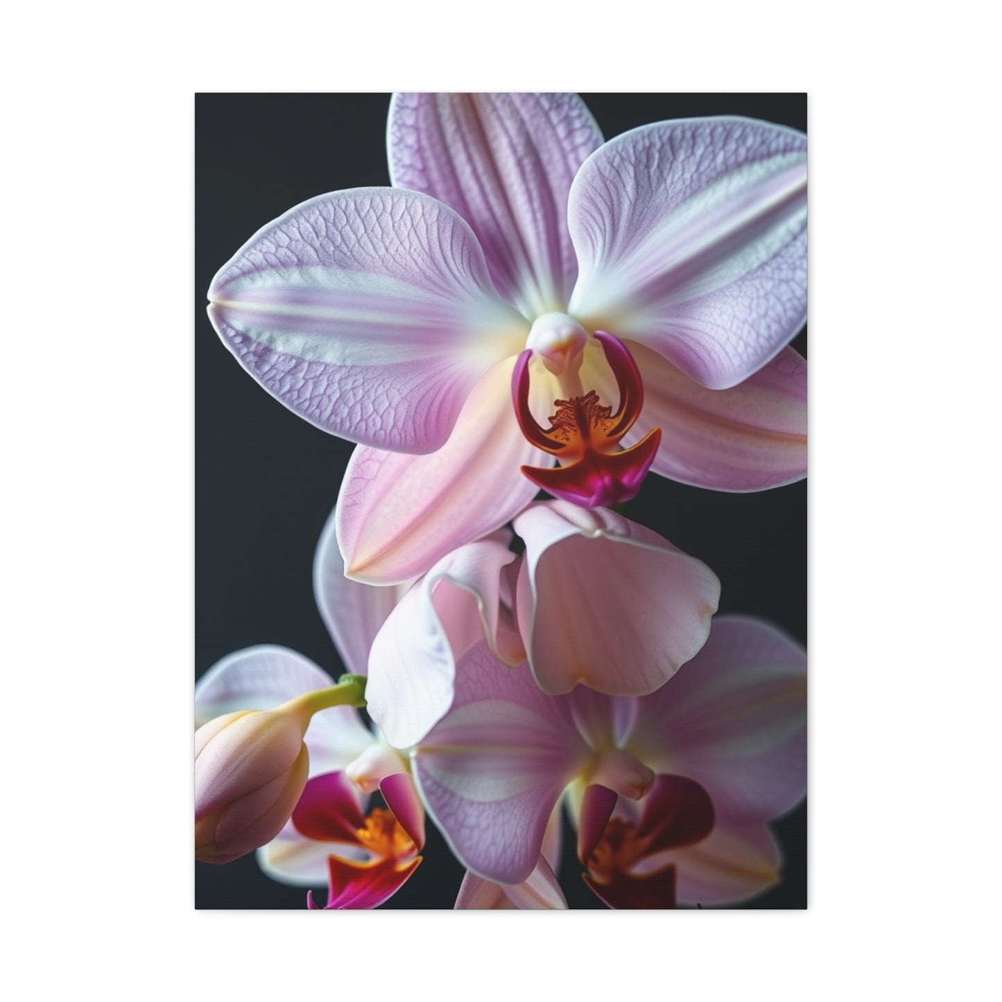 Collection Orchid Flower Art Art Wall Art & Canvas Print