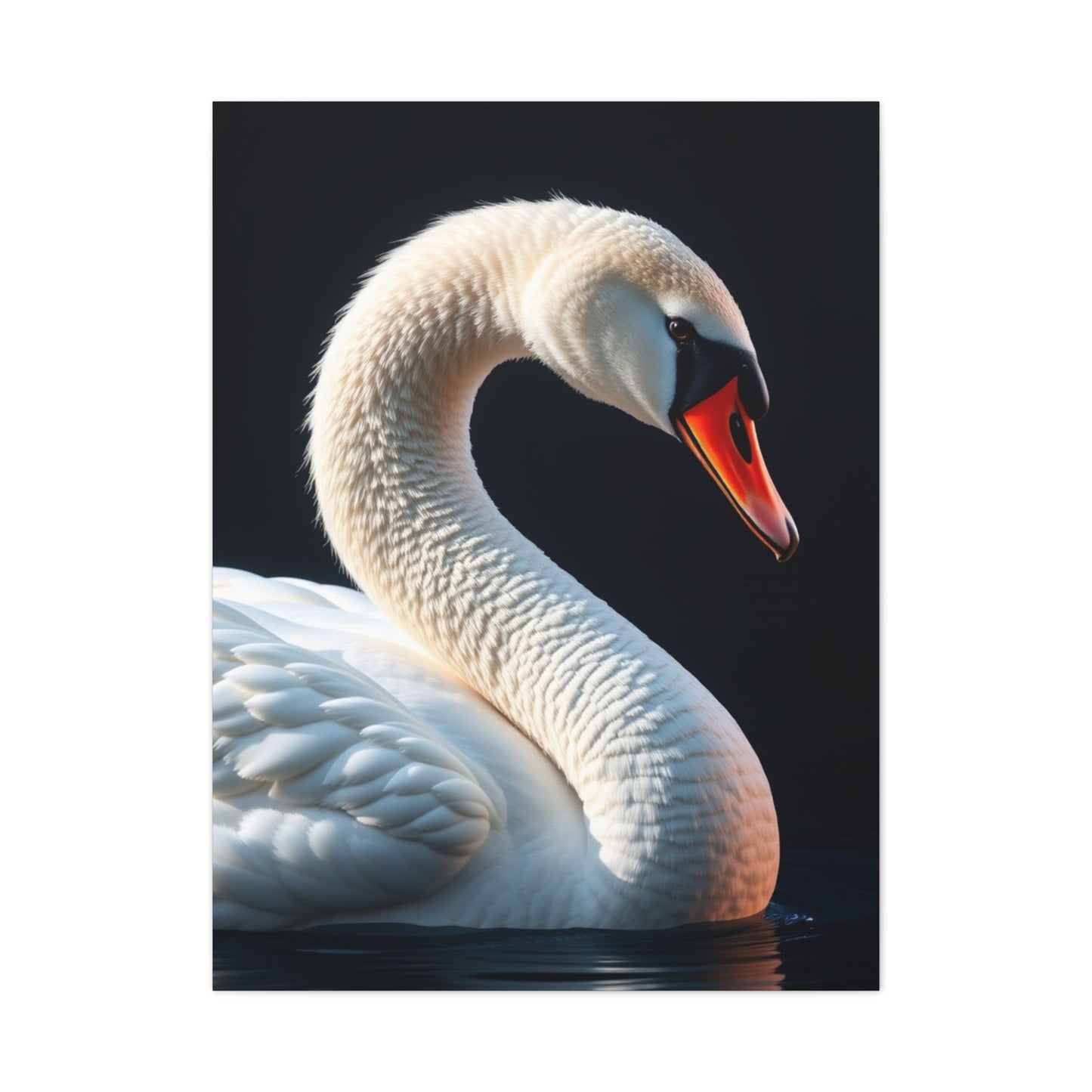 Supreme Swan Art Collection Wall Art & Canvas Print