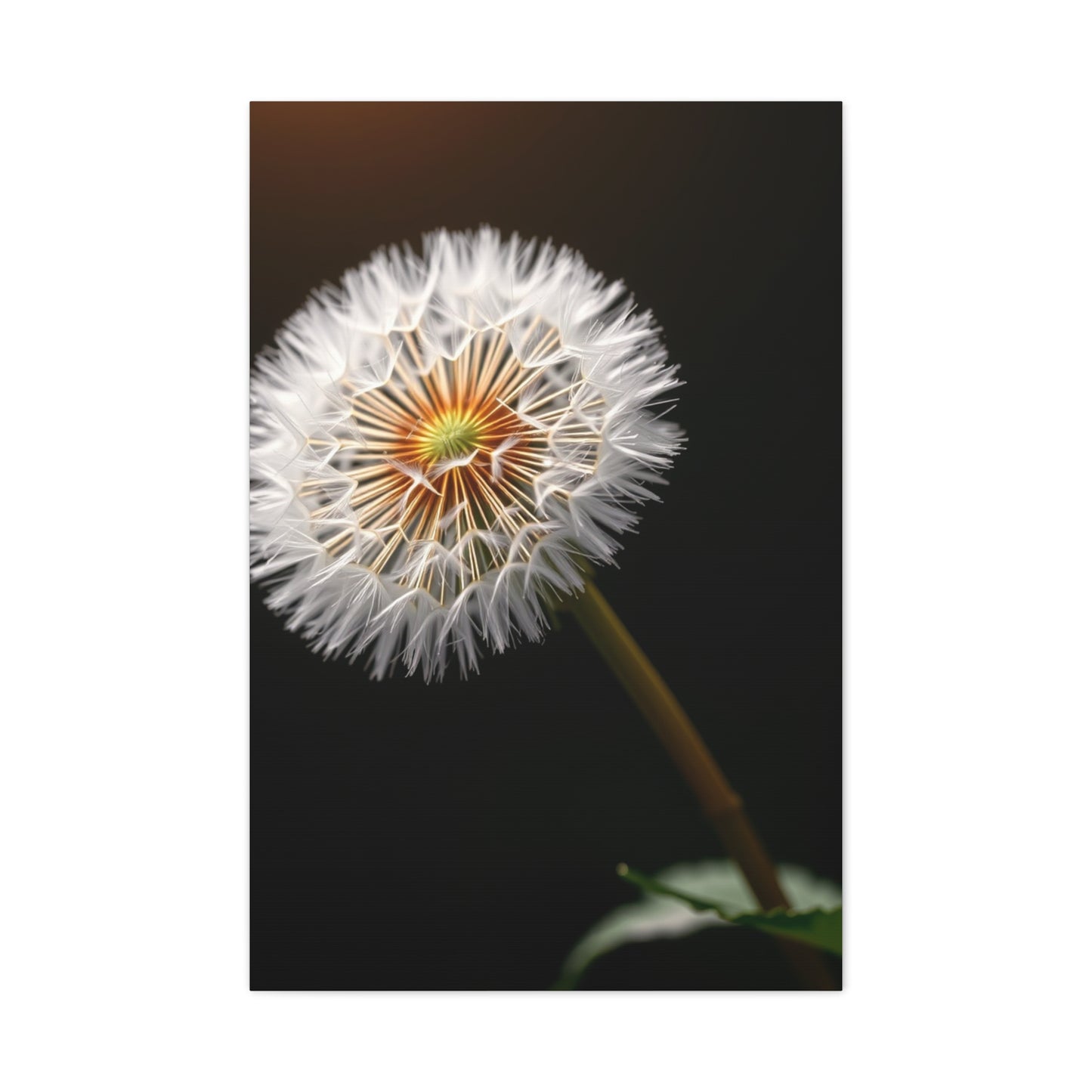 Dandelion Flower Art Refined Canvas Wall Art & Canvas Print