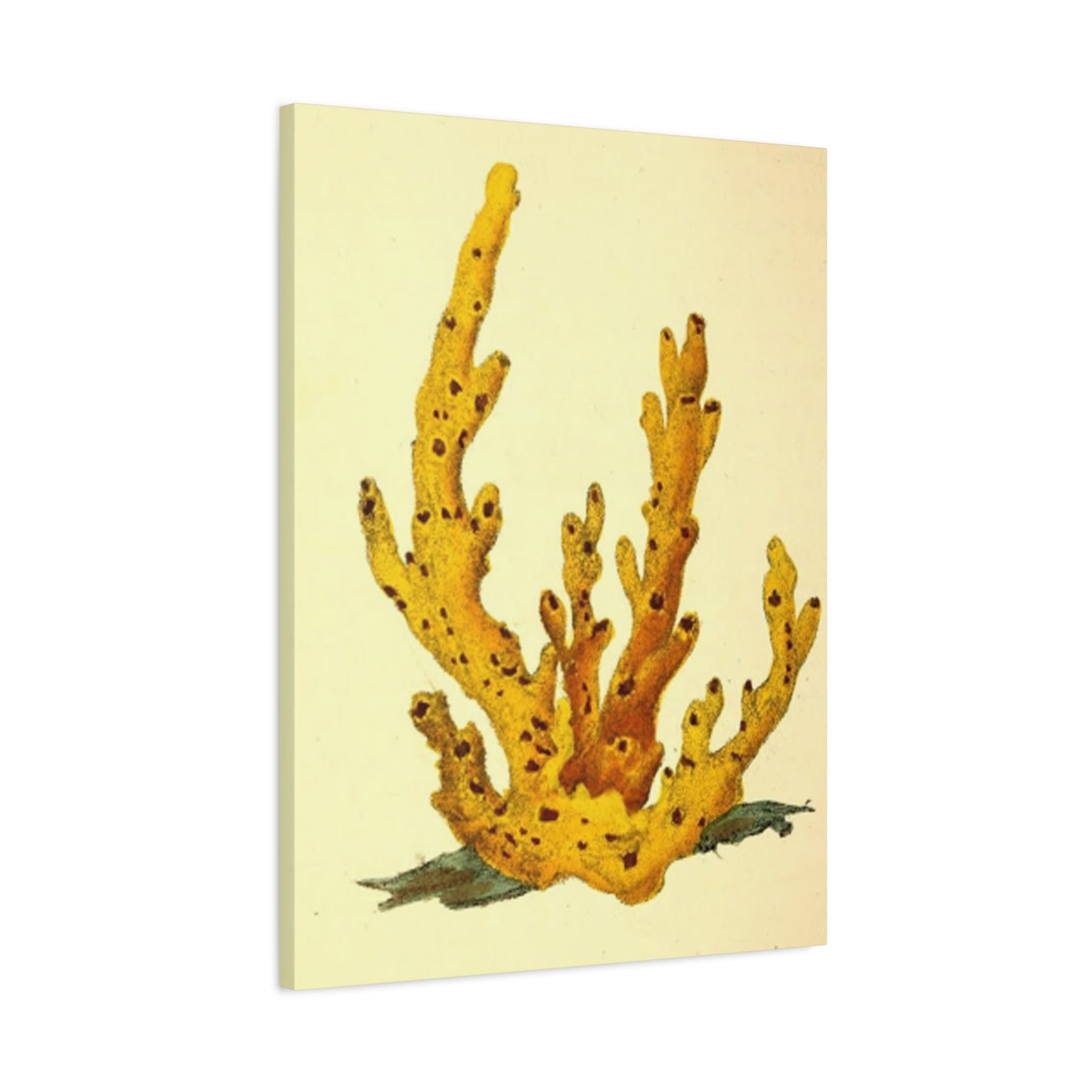 Yellow Shell Stem Painting Wall Art & Canvas Prints