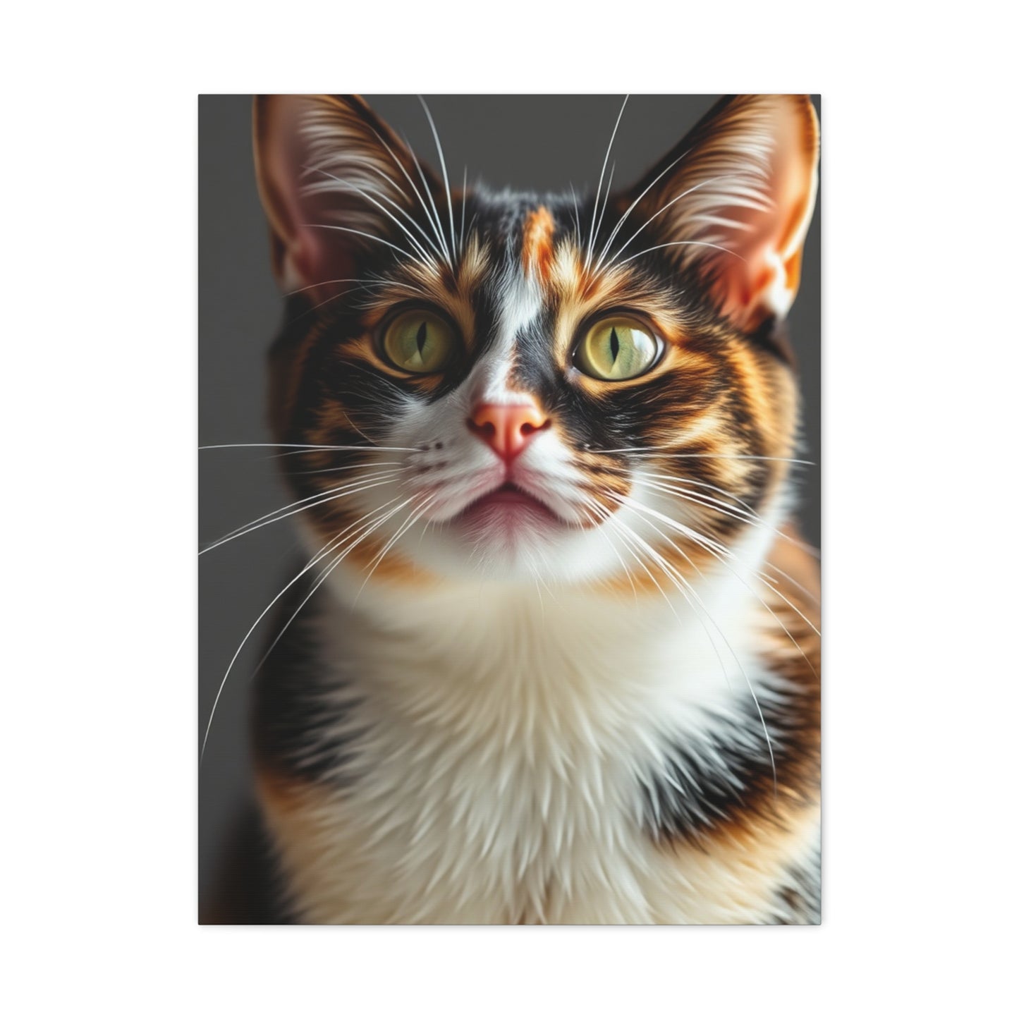 Vision Calico Cat Art Art Wall Art & Canvas Print