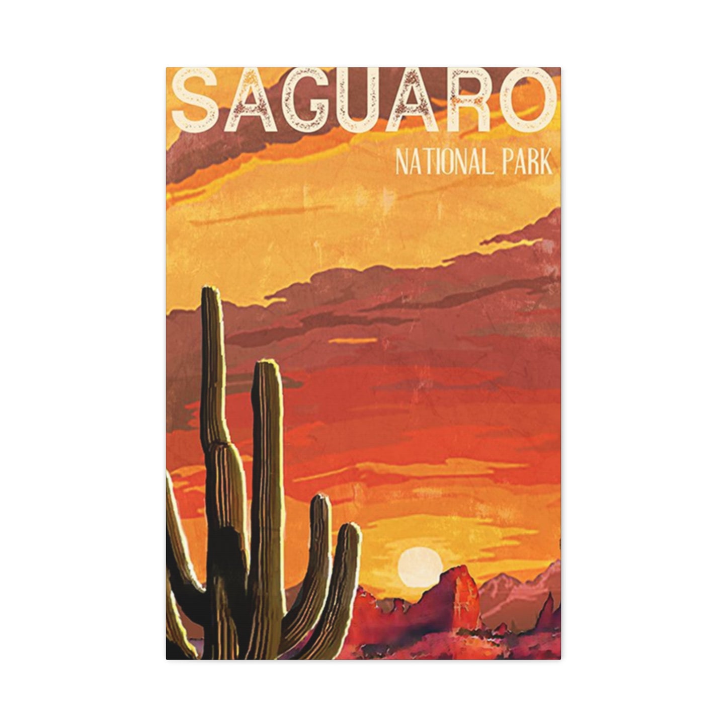 Saguaro National Park Arizona Wall Art & Canvas Prints