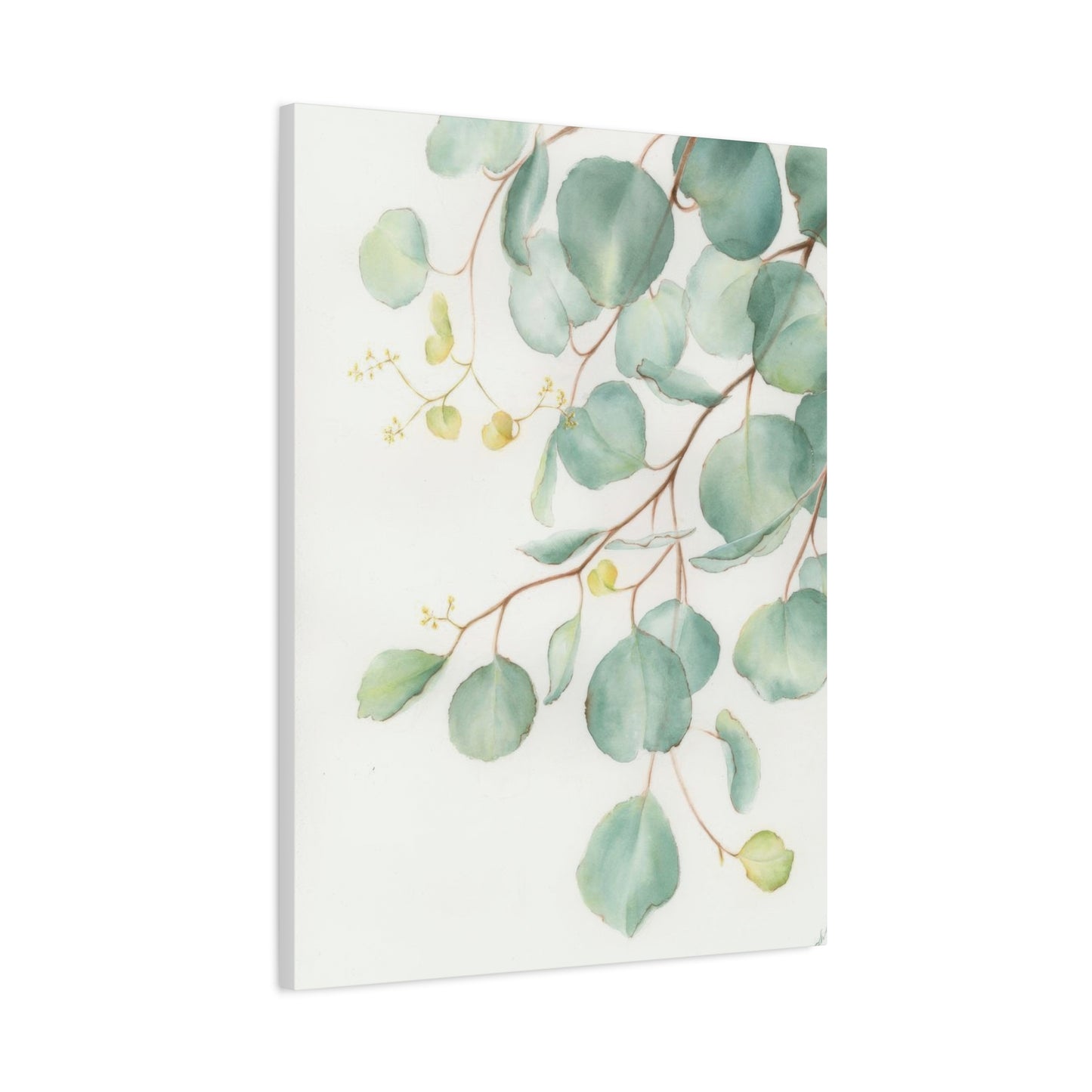 Eucalyptus Creeping Top Down Right Wall Art & Canvas Prints