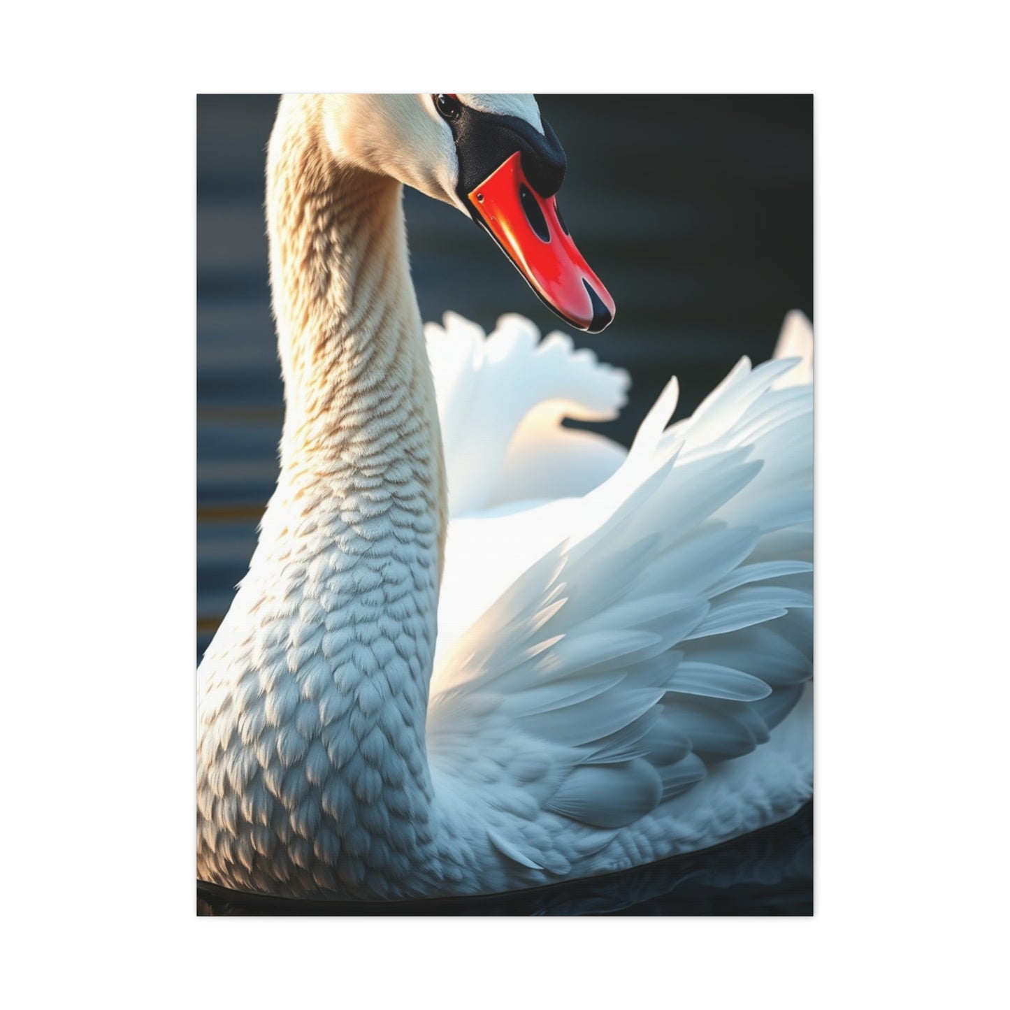 Swan Art Supreme Gallery Wall Art & Canvas Print