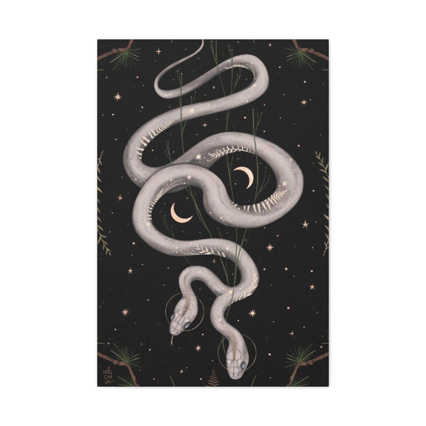 Two Faced Snake Wall Art & Canvas Prints