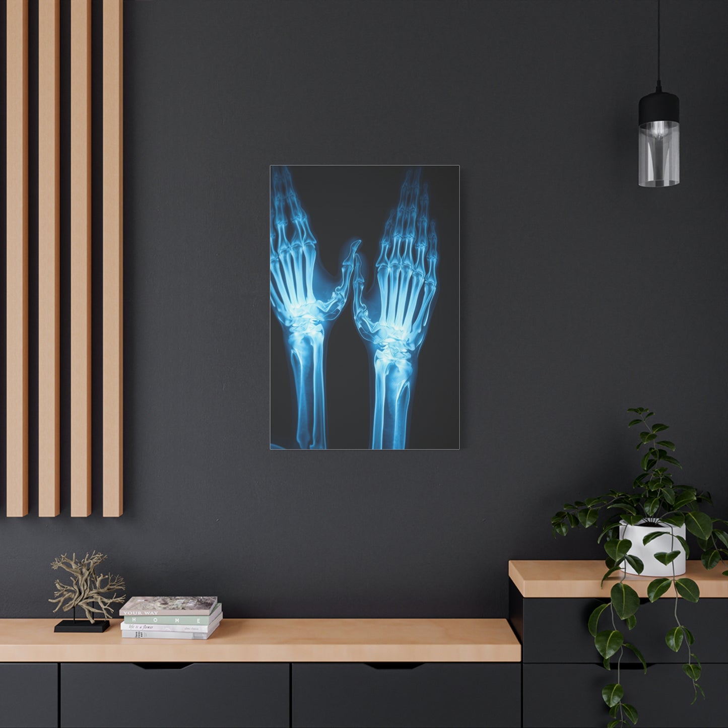Collection X-Ray Photography Art Art Wall Art & Canvas Print