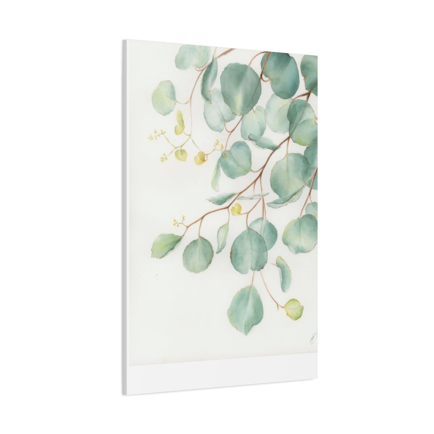 Eucalyptus Creeping Top Down Right Wall Art & Canvas Prints