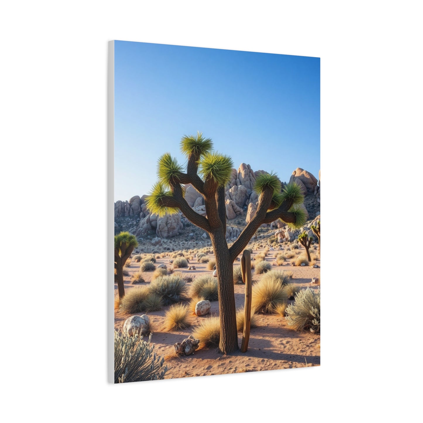 Masterpiece Joshua Tree National Park Art Vision Wall Art & Canvas Print