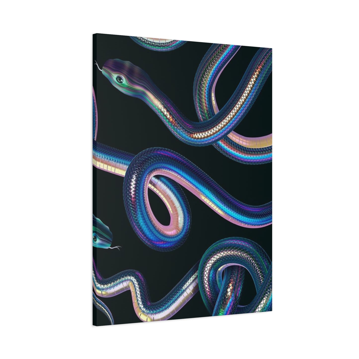 Snake On Black Canvas Wall Art & Canvas Prints