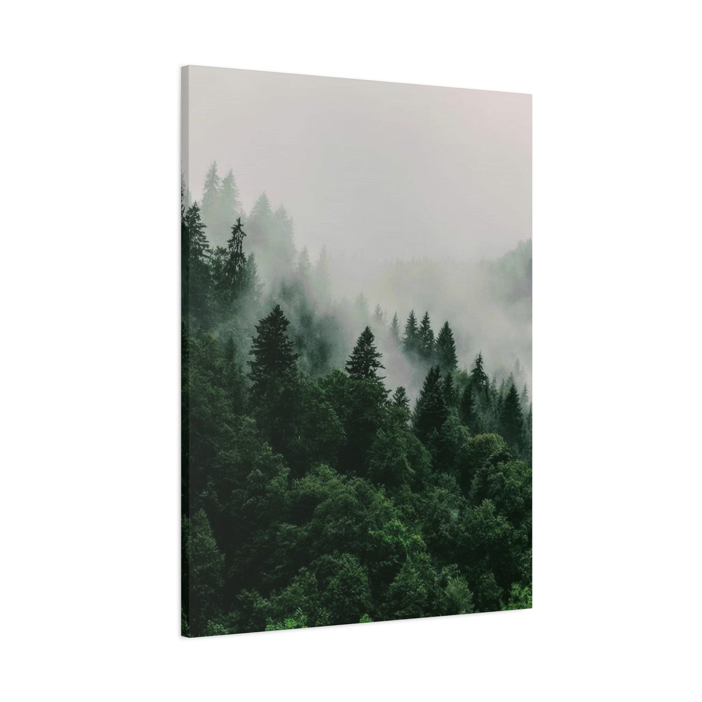 Green Lush Forest Wall Art & Canvas Prints