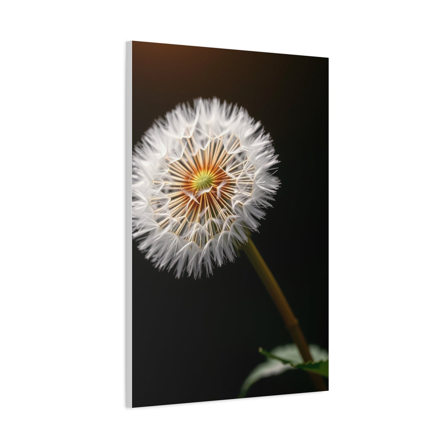 Dandelion Flower Art Refined Canvas Wall Art & Canvas Print