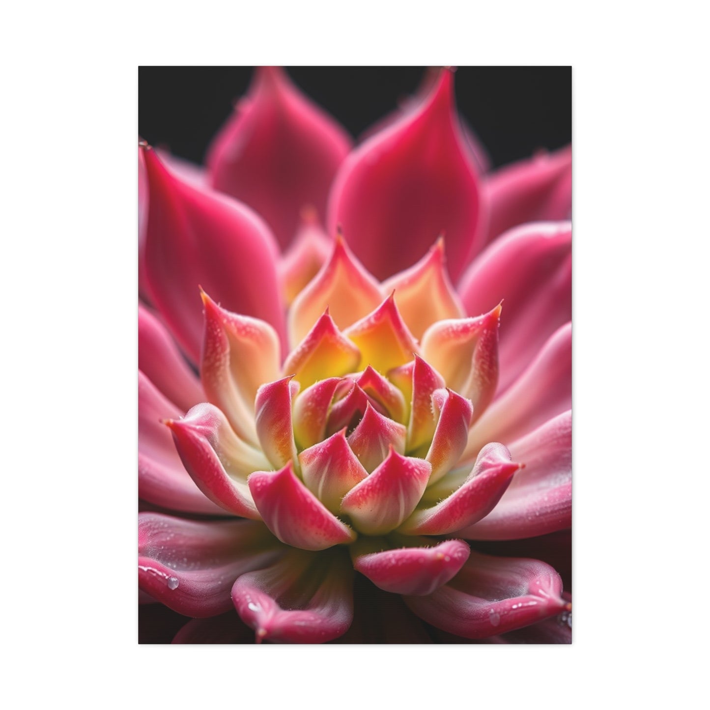 Succulent Art Supreme Gallery Wall Art & Canvas Print