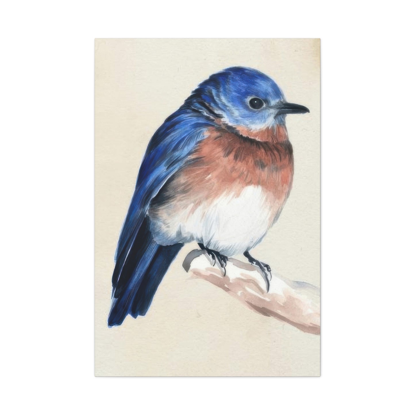 Jennifer Paxton Parker Little Bird On Branch 1 Wall Art & Canvas Prints