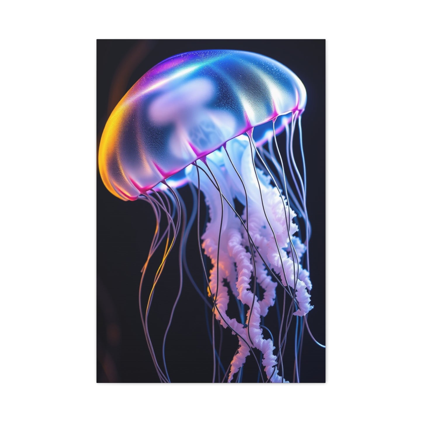 Collection Jellyfish Art Art Wall Art & Canvas Print