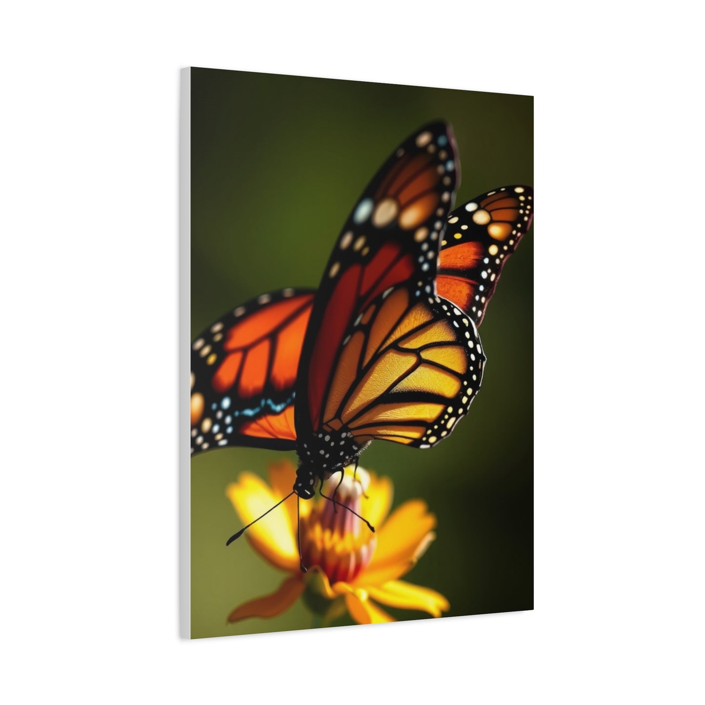 Supreme Monarch Butterflies Art Collection Wall Art & Canvas Print