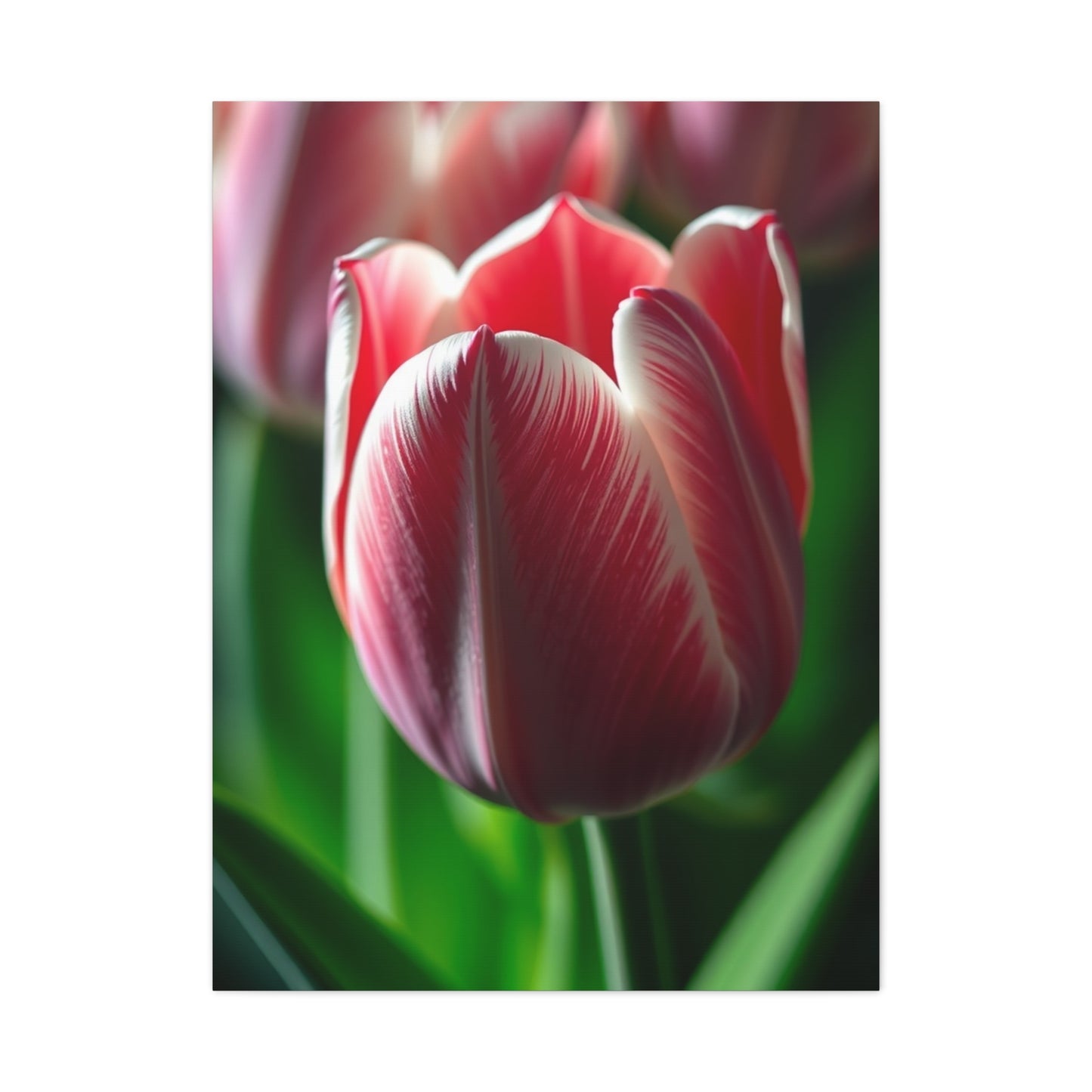 Supreme Tulip Flower Art Collection Wall Art & Canvas Print