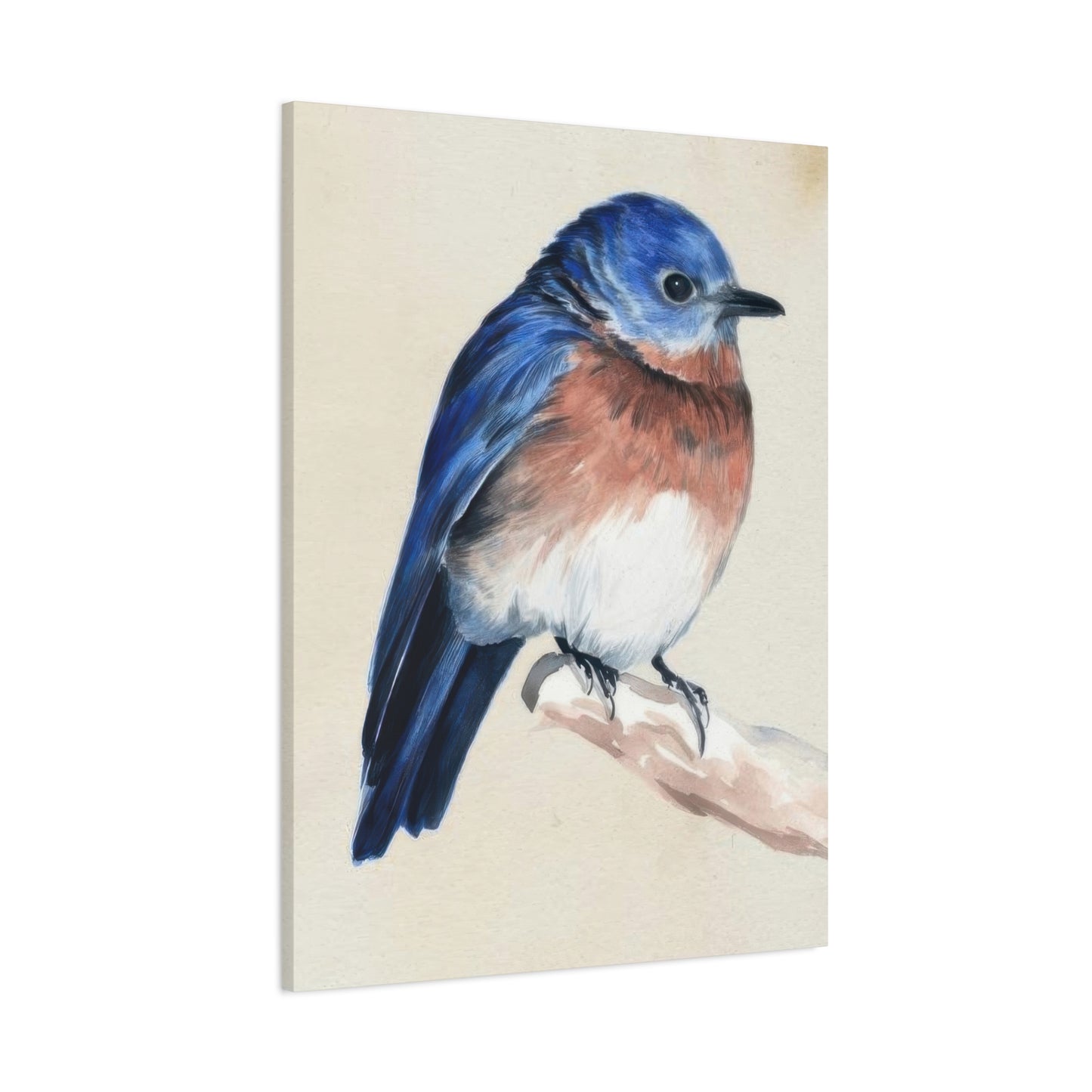 Jennifer Paxton Parker Little Bird On Branch 1 Wall Art & Canvas Prints