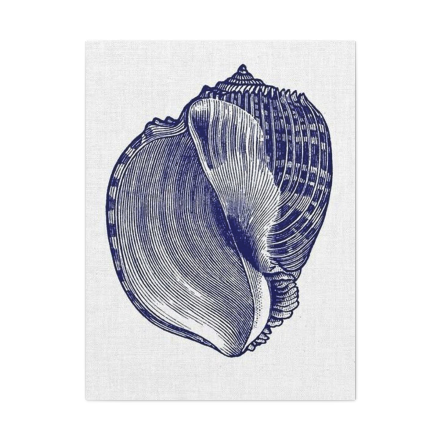 Beautiful Blue Shell Shape Drawing Wall Art & Canvas Prints