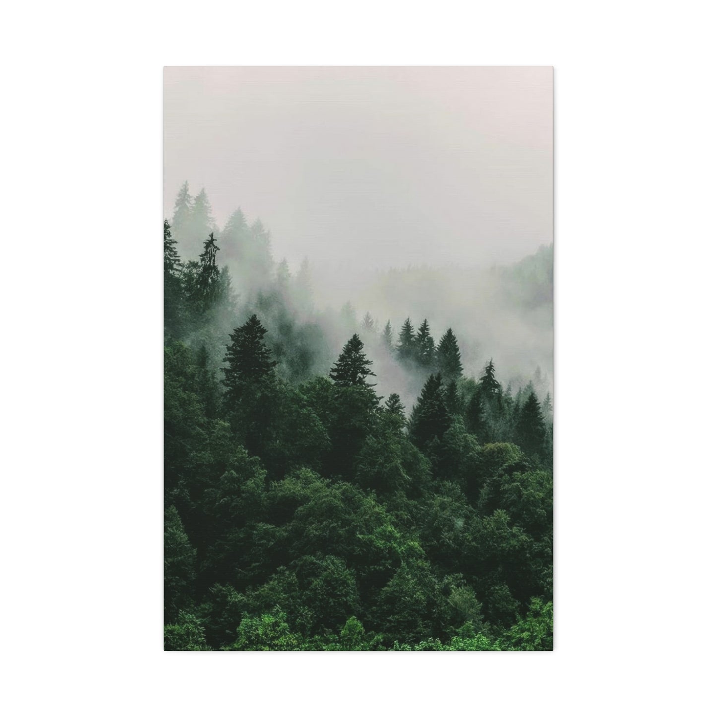 Green Lush Forest Wall Art & Canvas Prints