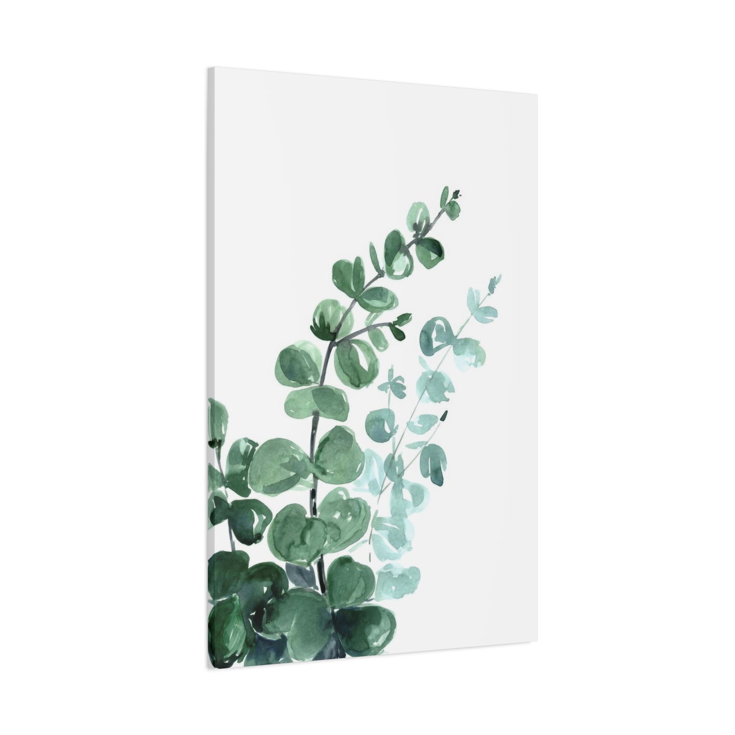 Eucalyptus Emerging Bottom Left Wall Art & Canvas Prints