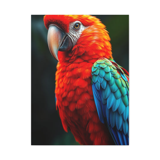 Supreme Tropical Birds Art Collection Wall Art & Canvas Print