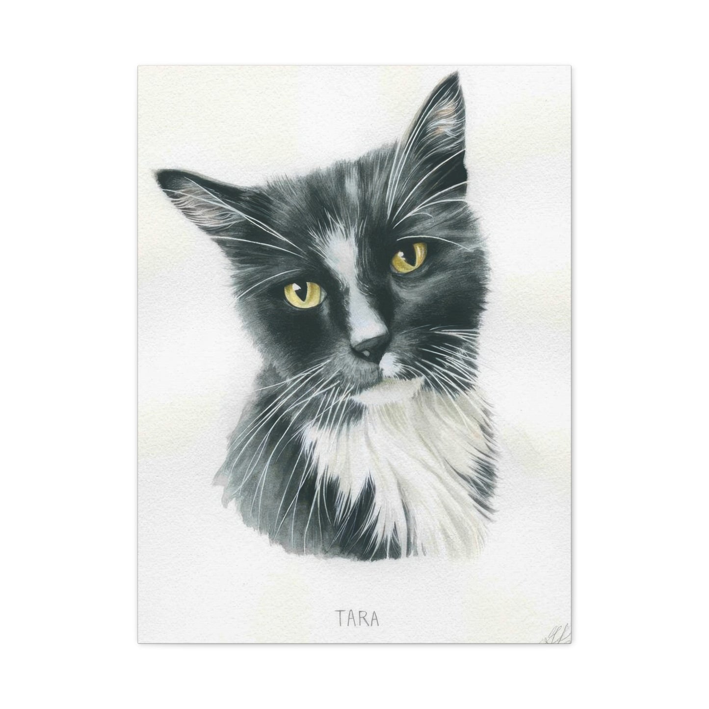 Grace Popp Tara The Cat Wall Art & Canvas Prints