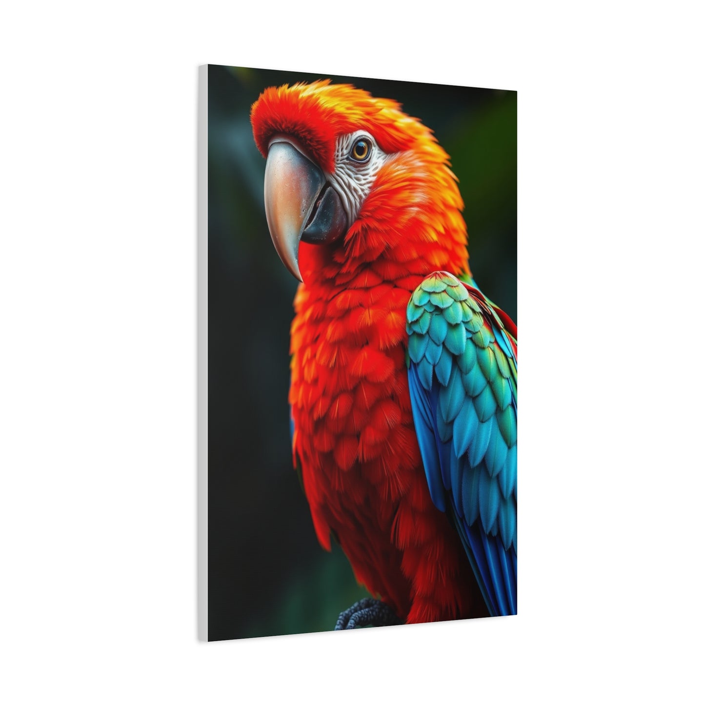 Supreme Tropical Birds Art Collection Wall Art & Canvas Print