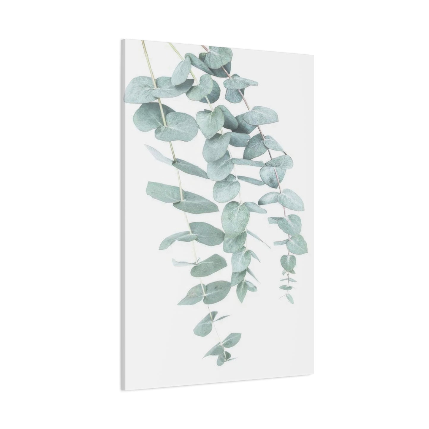 Kathrin Pienaar Eucalyptus Wall Art & Canvas Prints