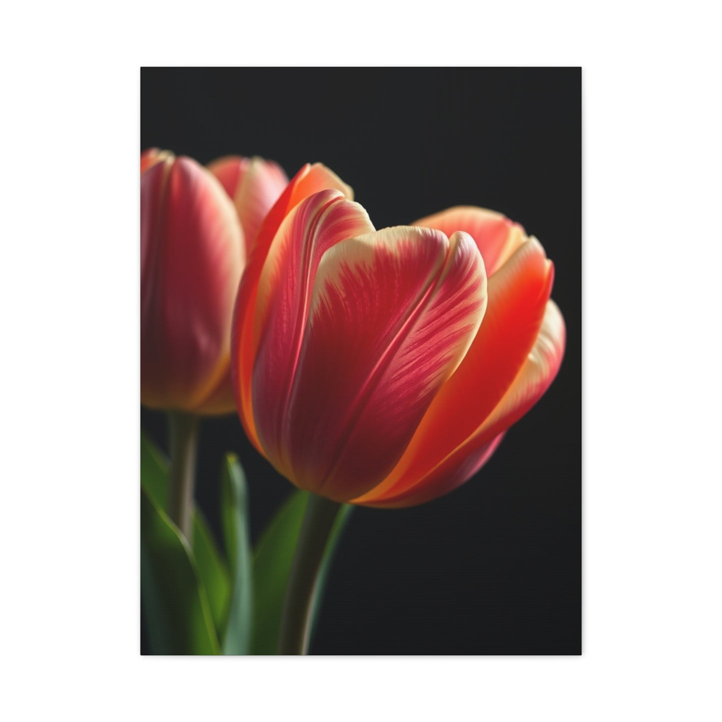 Tulip Flower Art Supreme Gallery Wall Art & Canvas Print