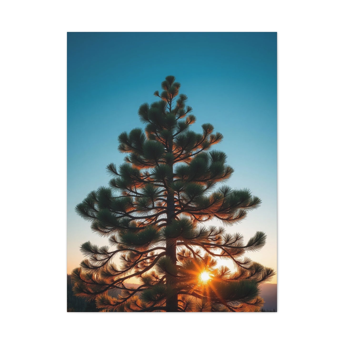 Supreme Pine Tree Art Collection Wall Art & Canvas Print