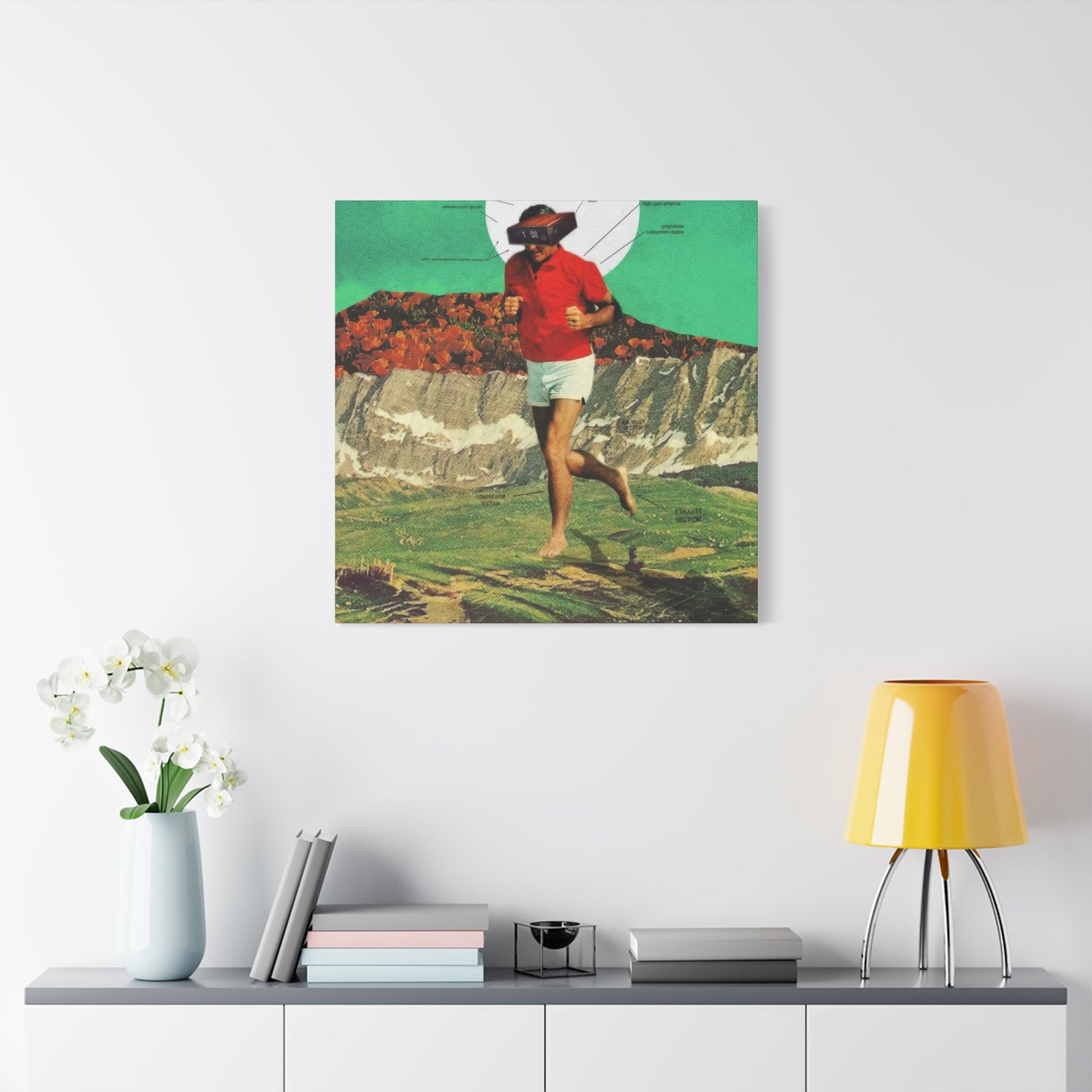 Frank Moth Sheeprunner Wall Art & Canvas Prints