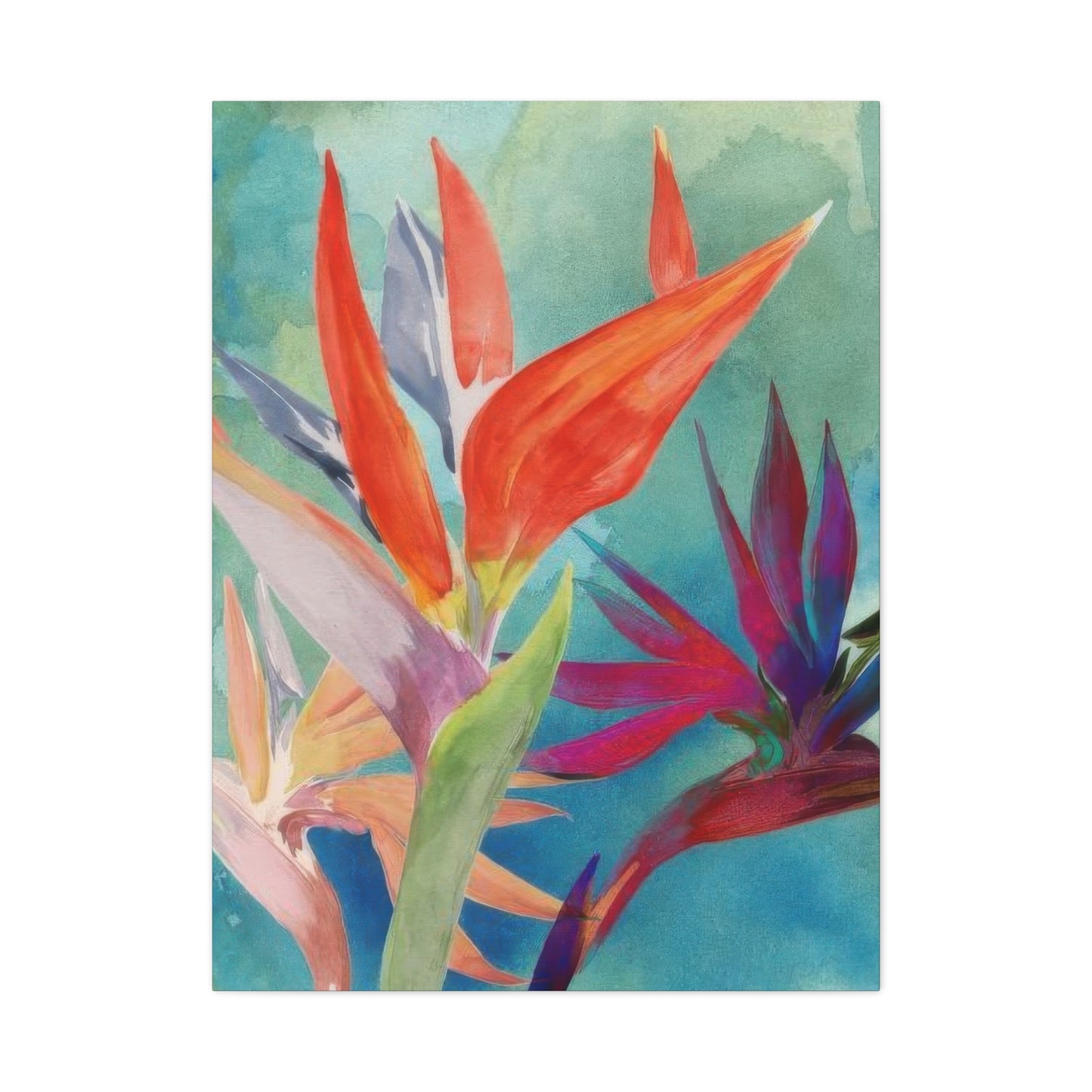 Jennifer Paxton Parker Vivid Bird Of Paradise Wall Art & Canvas Prints