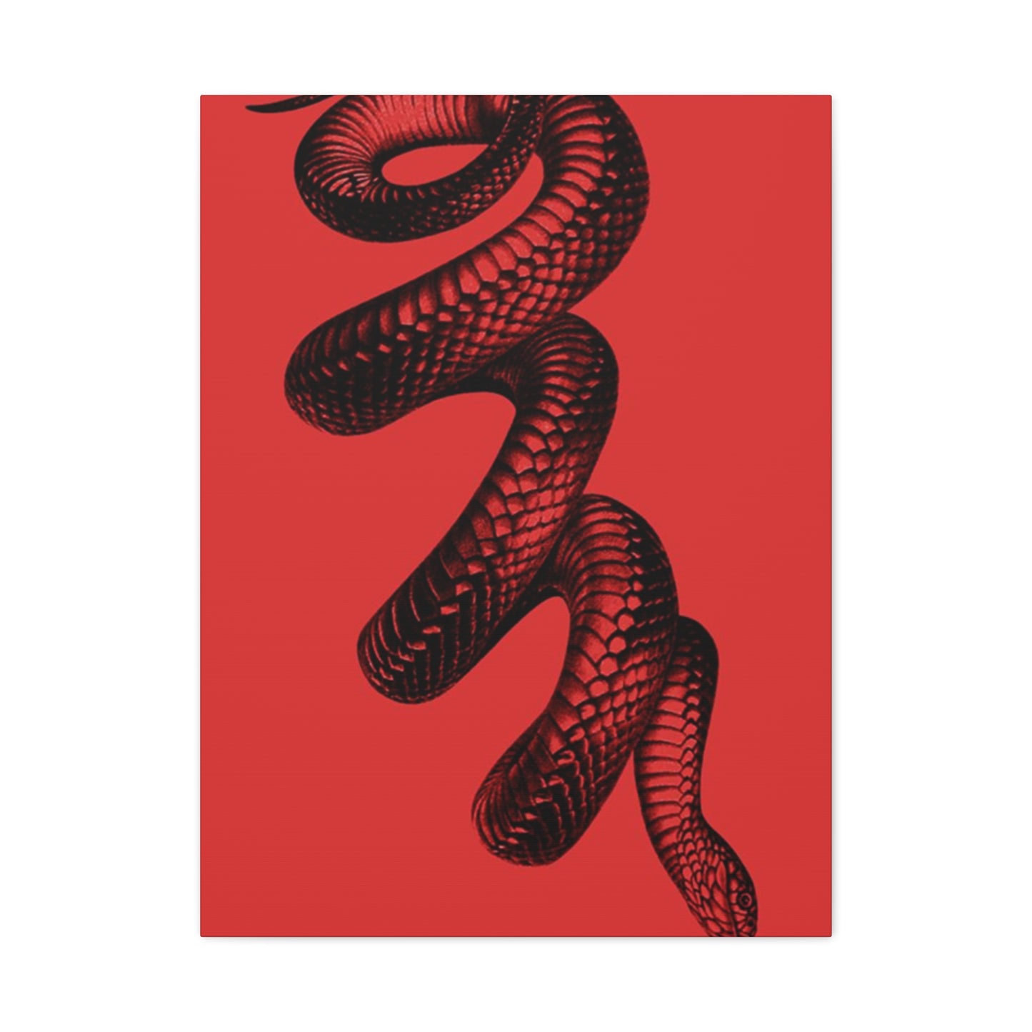 Snake On Red Wall Art & Canvas Prints