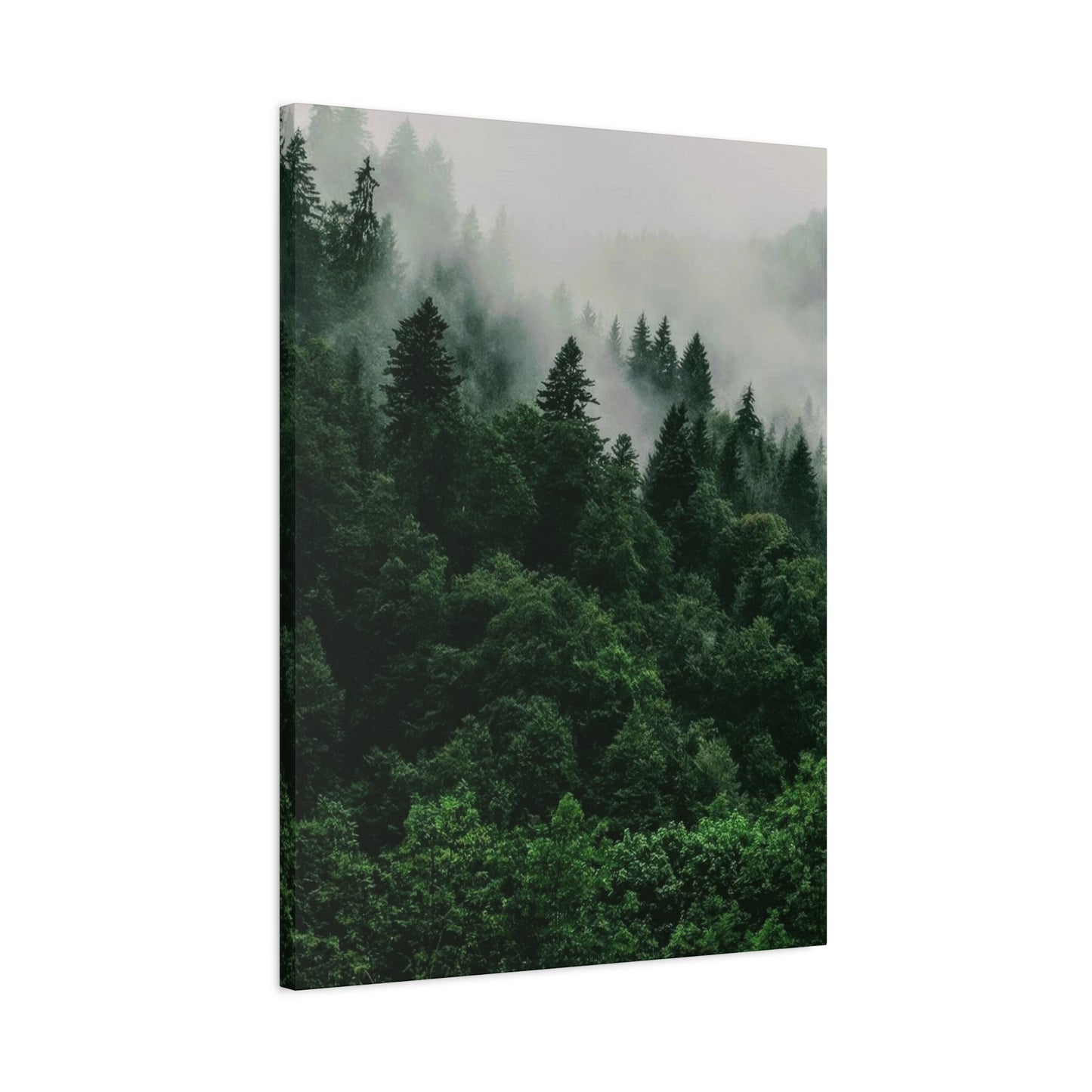 Green Lush Forest Wall Art & Canvas Prints