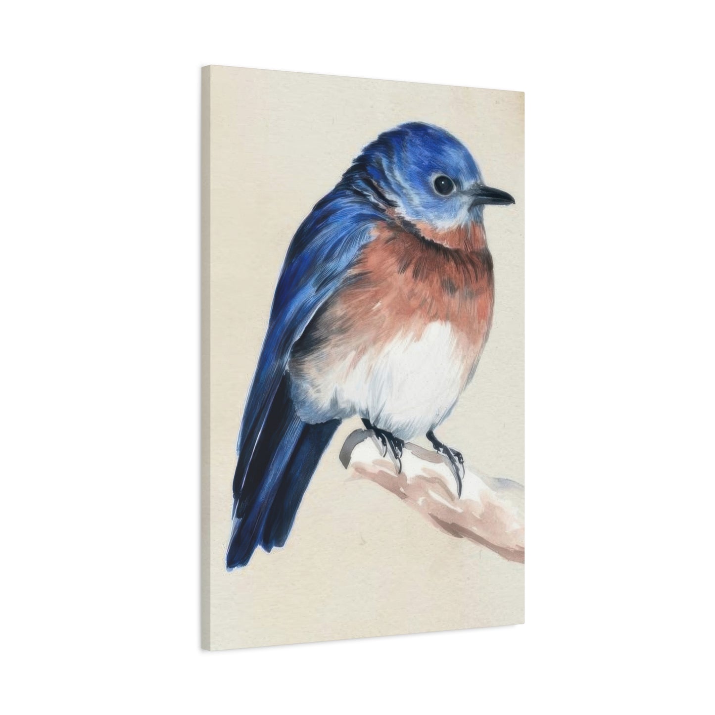 Jennifer Paxton Parker Little Bird On Branch 1 Wall Art & Canvas Prints