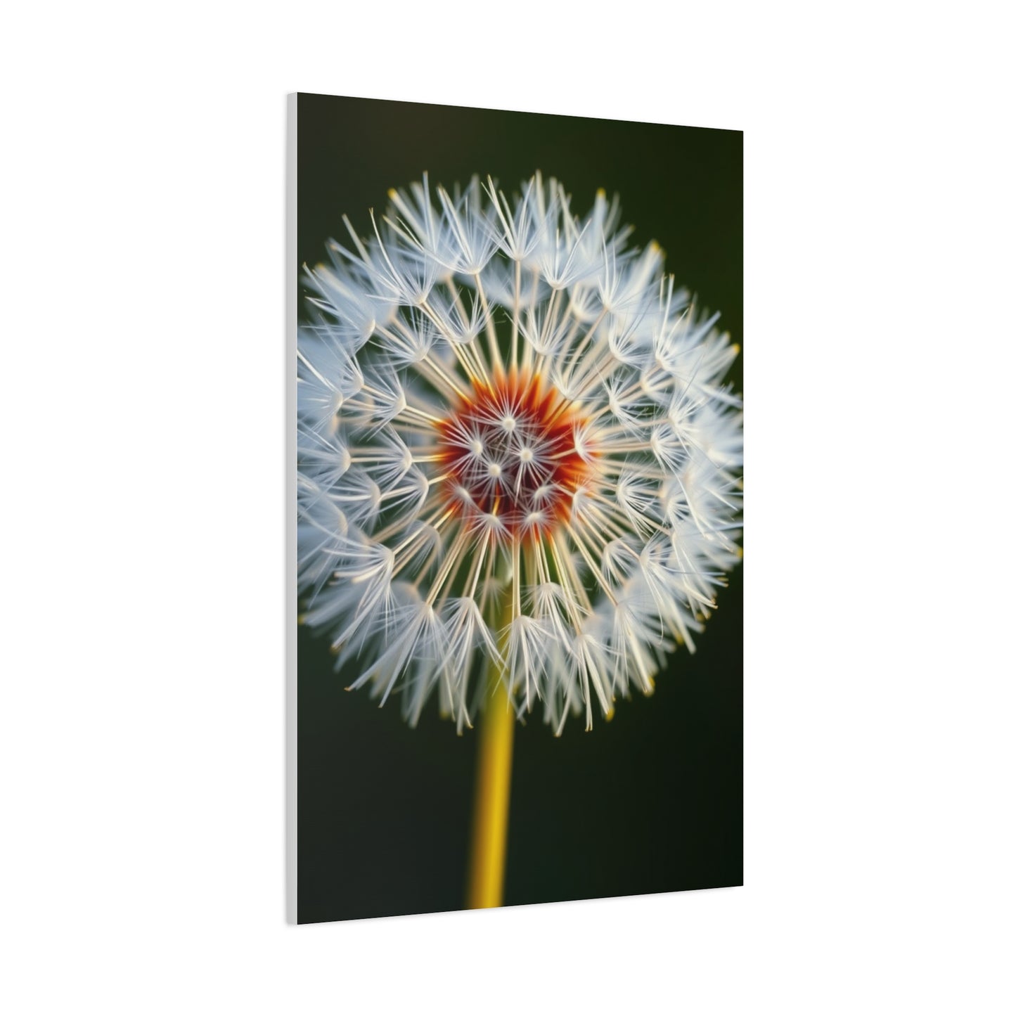 Dandelion Flower Art Supreme Gallery Wall Art & Canvas Print