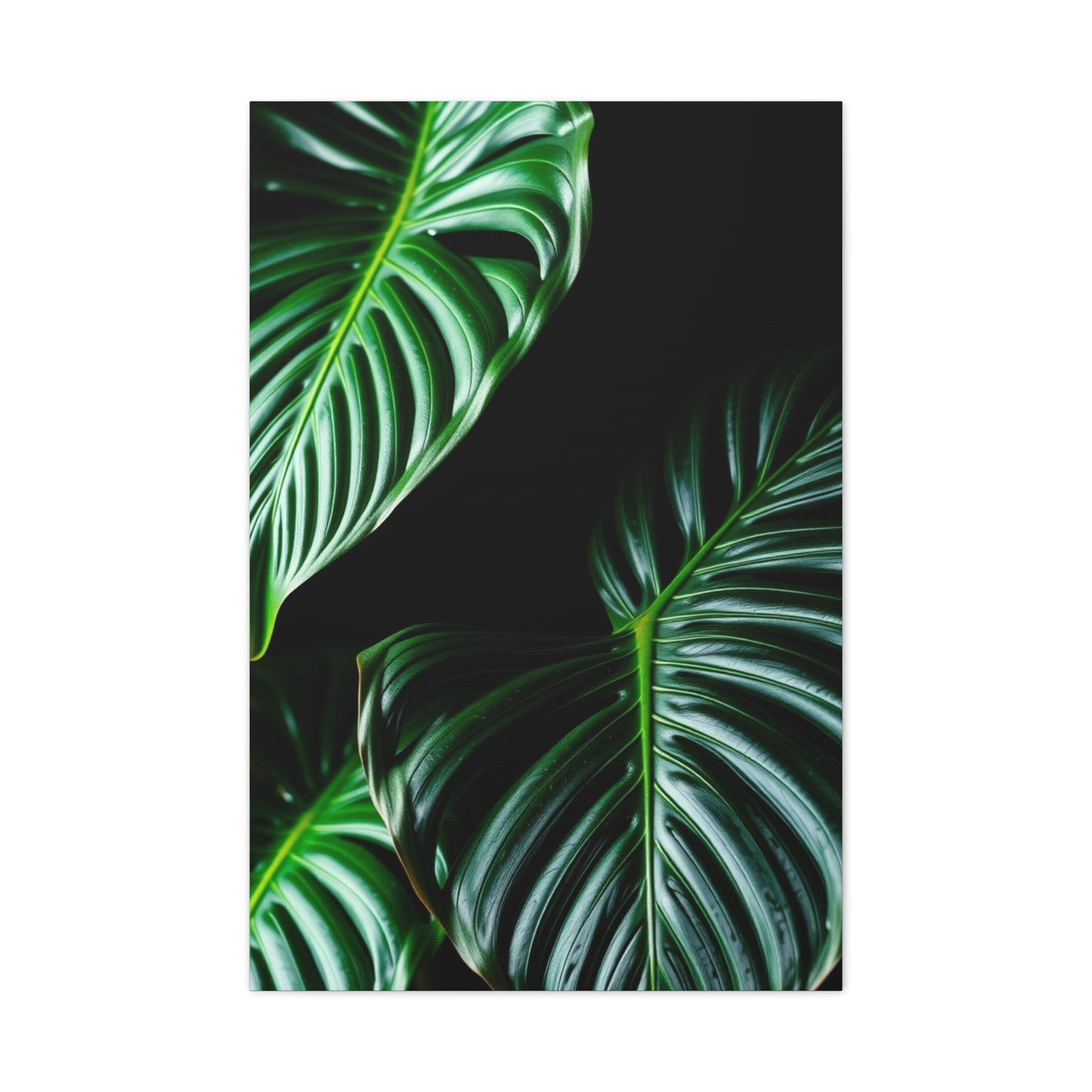 Collection Monstera Plant Art Art Wall Art & Canvas Print