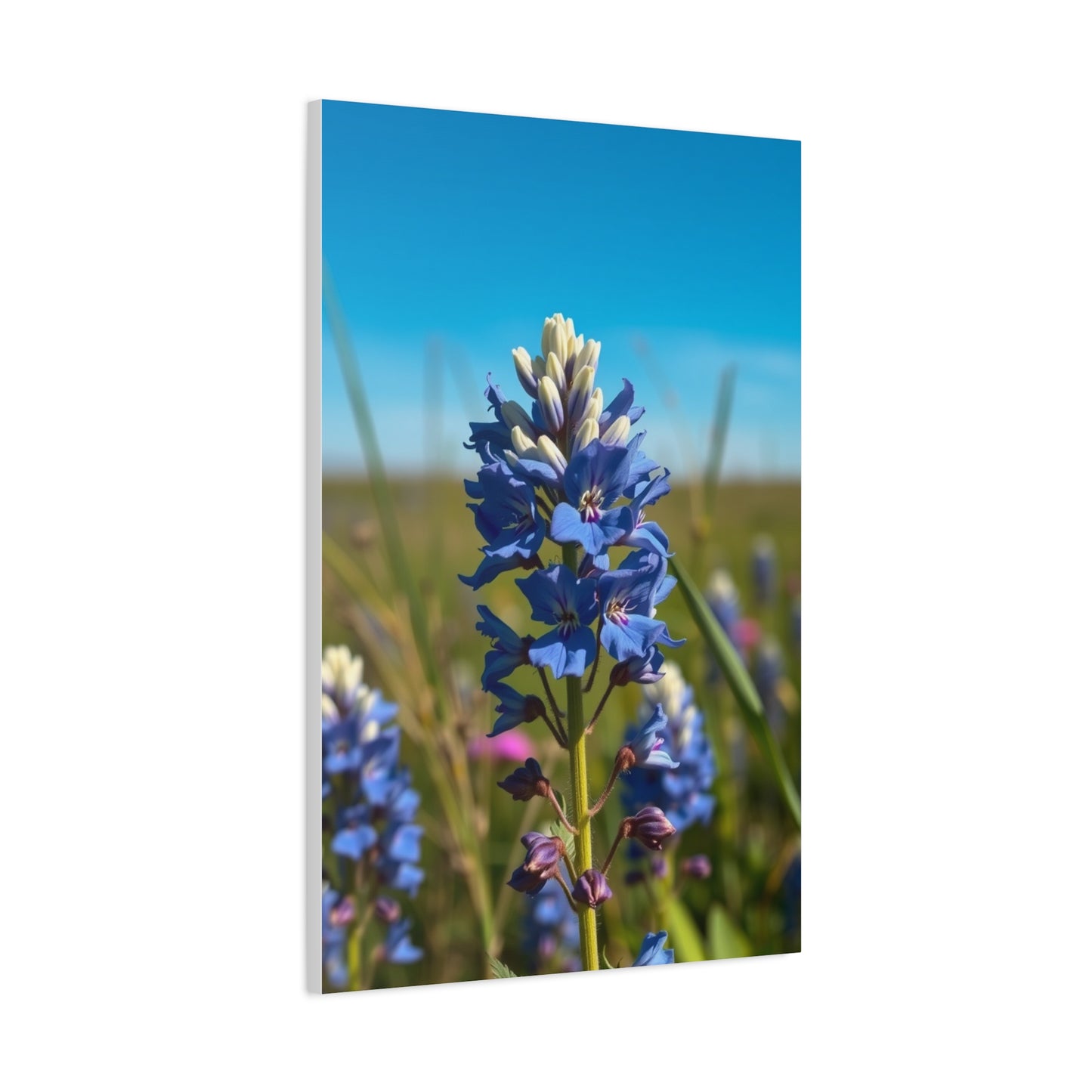 Bluebonnet Flower Art Supreme Gallery Wall Art & Canvas Print