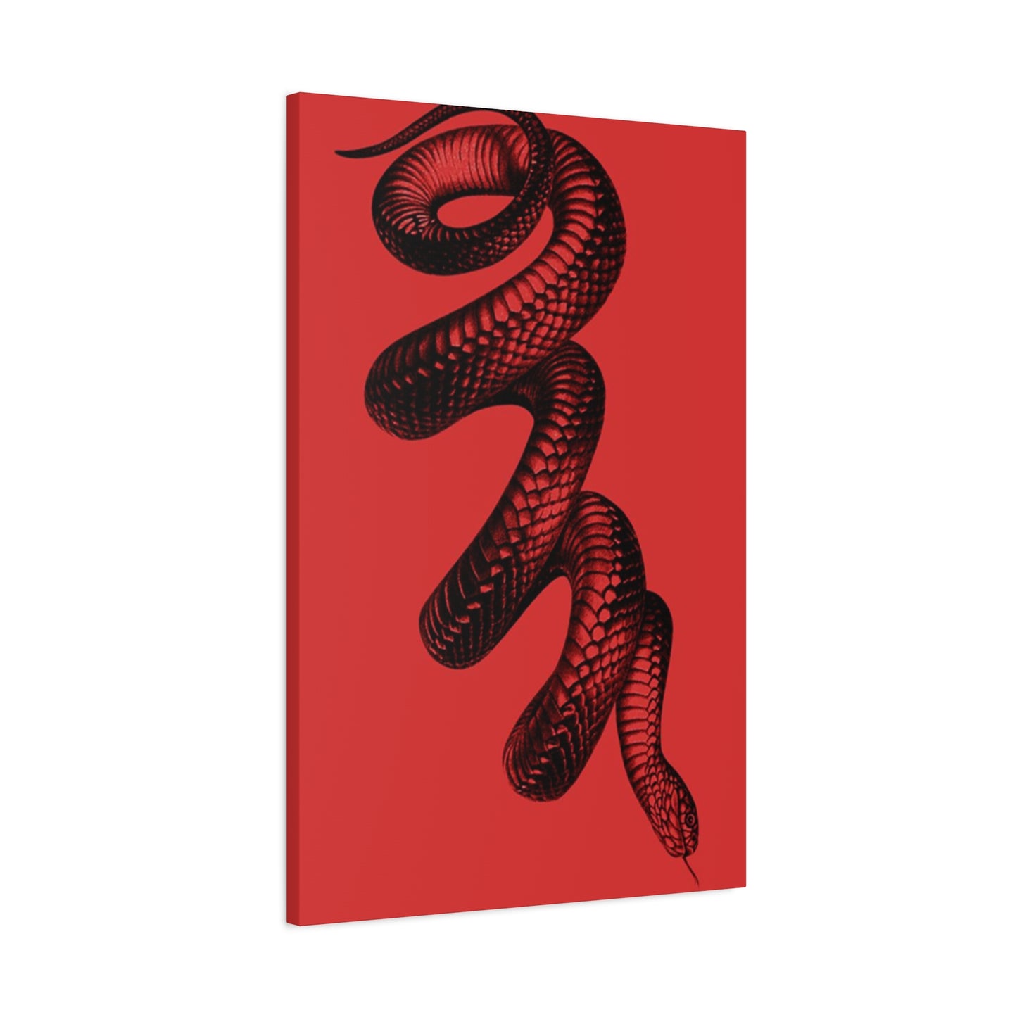 Snake On Red Wall Art & Canvas Prints