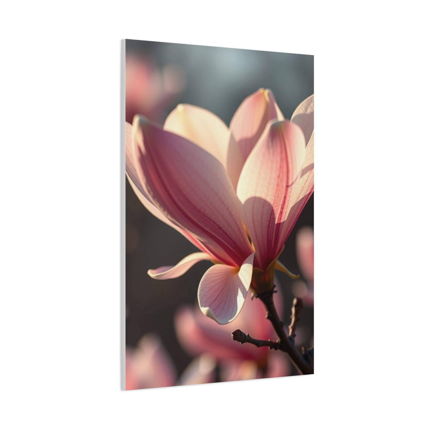 Supreme Magnolia Art Collection Wall Art & Canvas Print