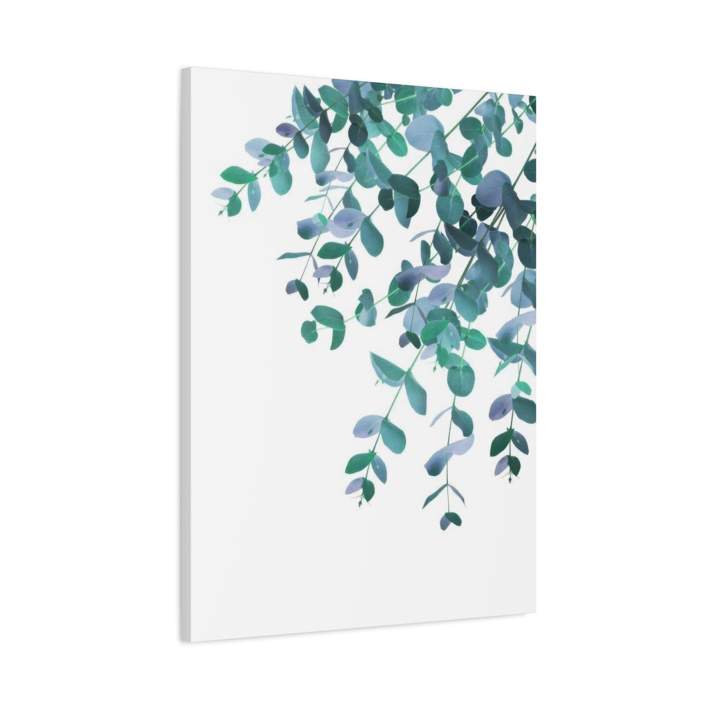 Eucalyptus Creeping Down Top Right Wall Art & Canvas Prints