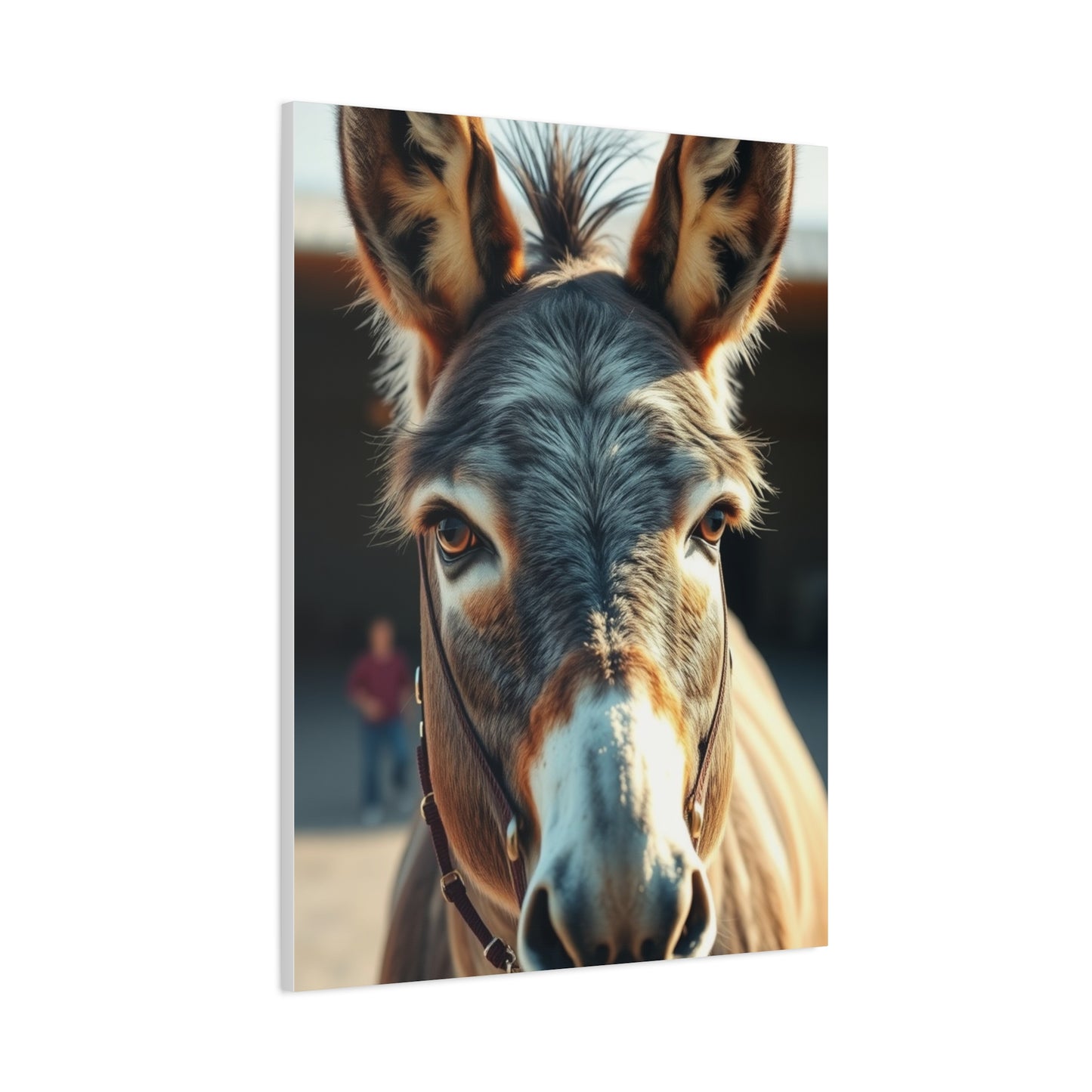 Donkey Art Luxury Canvas Wall Art & Canvas Print