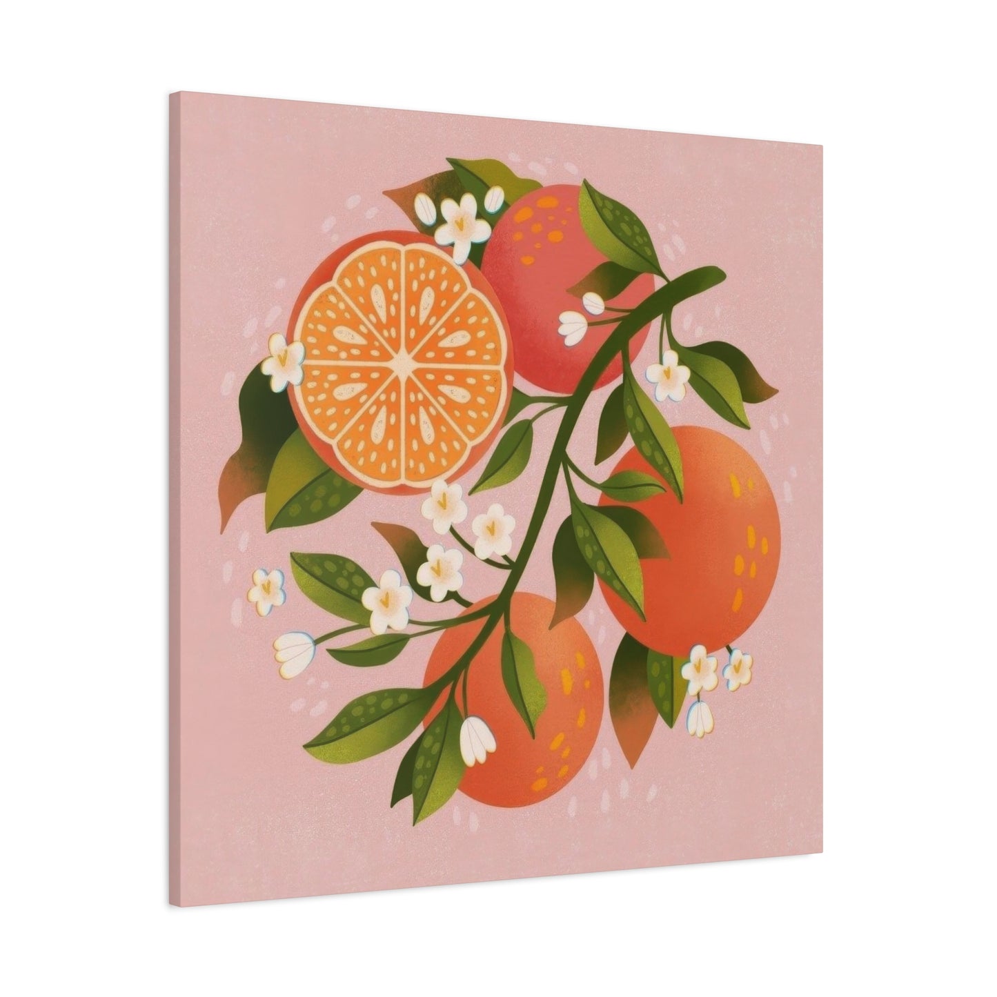 Oranges Pink BG Wall Art & Canvas Prints
