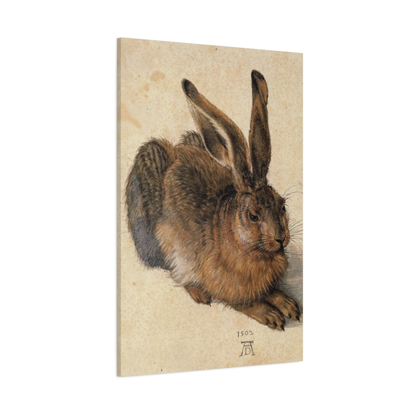 Large Brown Bunny Wall Art & Canvas Prints