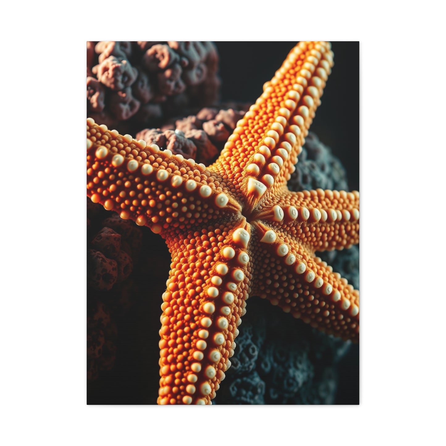 Collection Starfish Art Art Wall Art & Canvas Print