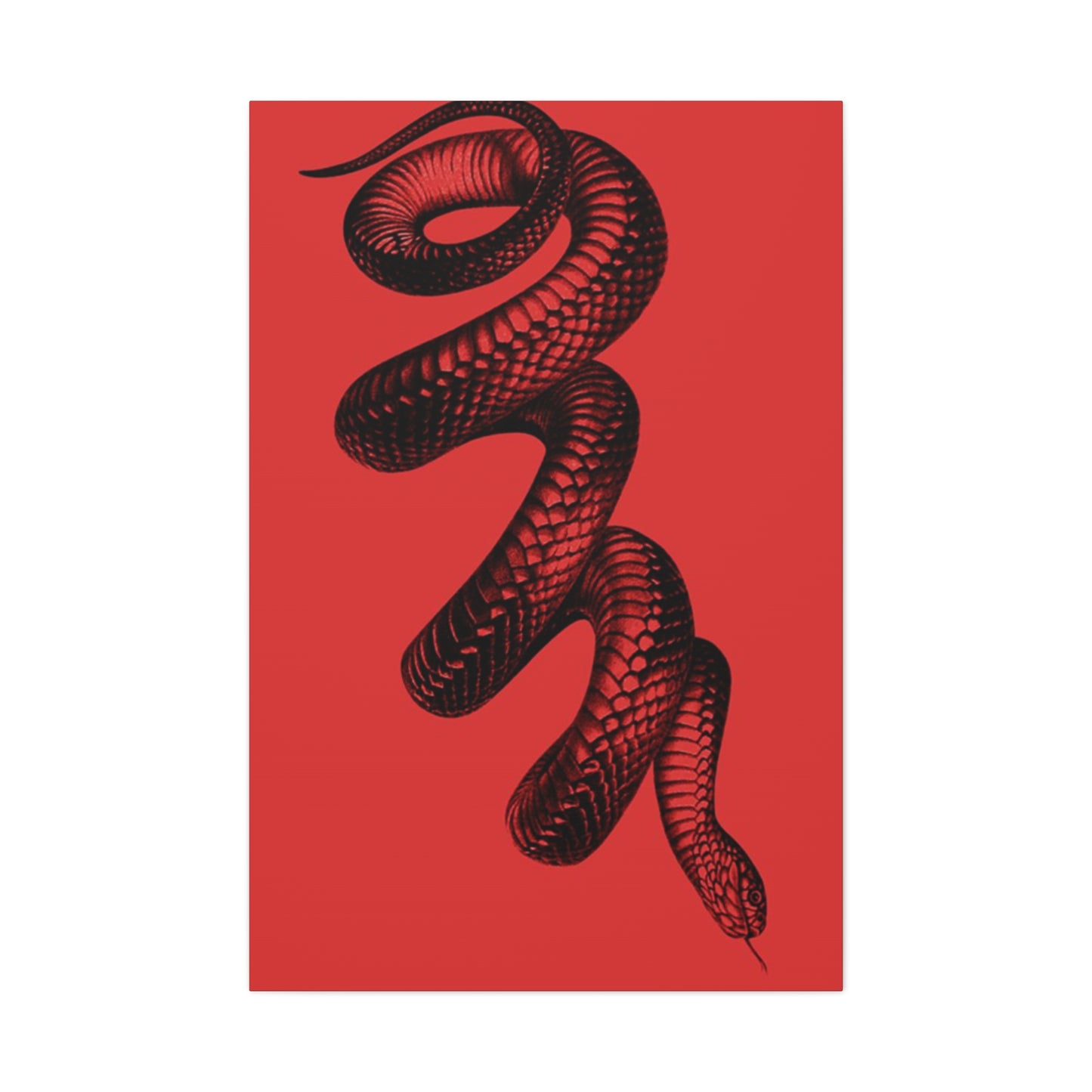 Snake On Red Wall Art & Canvas Prints
