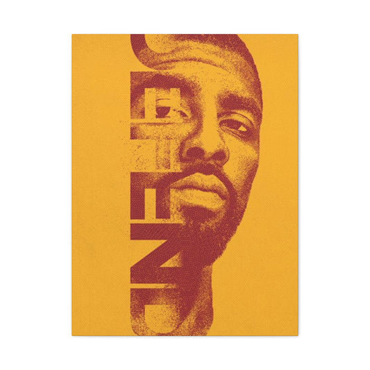 Defend Poster Wall Art & Canvas Prints